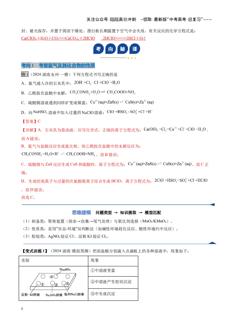 《第01讲氯及其重要化合物（复习讲义）（湖南专用）（教师版）_05-化学-高考总复习_一轮复习_2026年-化学高考一轮复习_2026年高考化学一轮课件+讲义+练习（湖南专用）-G331》第8页预览