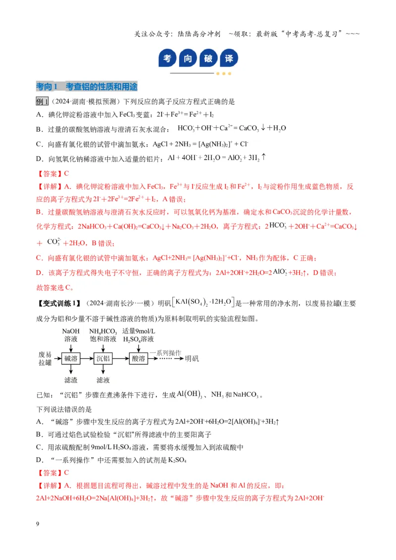 《第03讲铝及其重要化合物（复习讲义）（湖南专用）（教师版）_05-化学-高考总复习_一轮复习_2026年-化学高考一轮复习_2026年高考化学一轮课件+讲义+练习（湖南专用）-G331》第9页预览