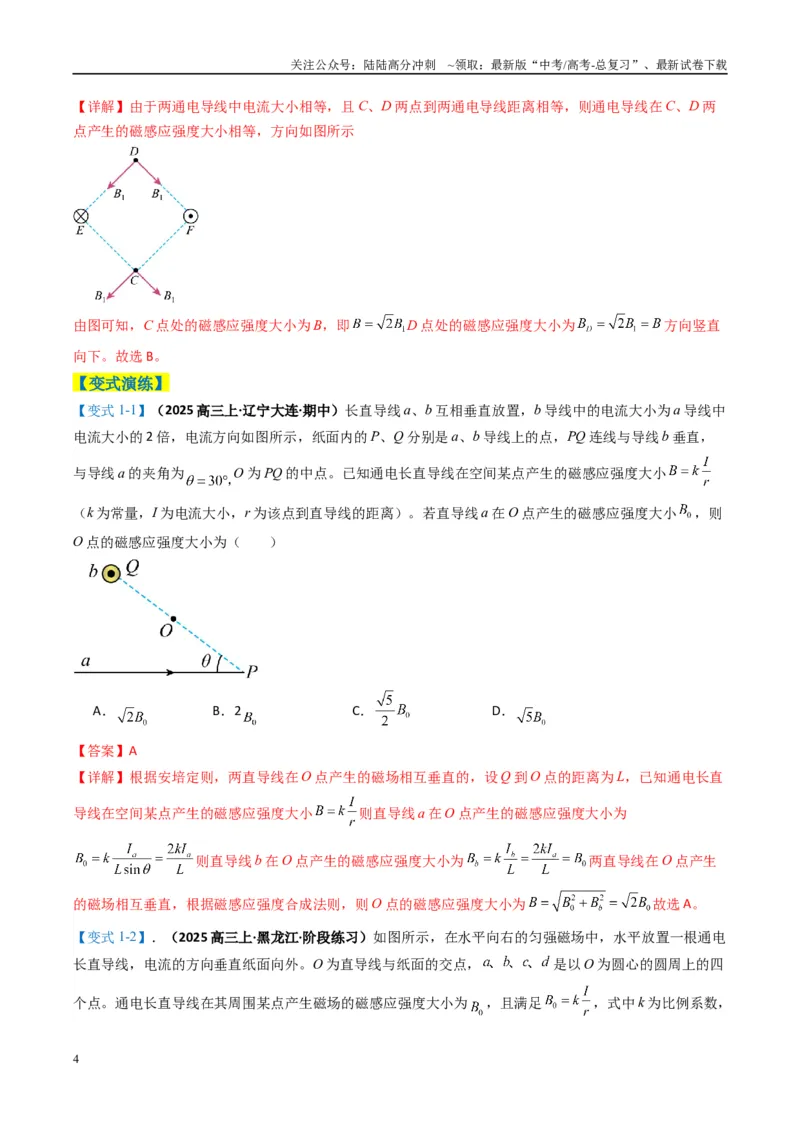 《专题05磁场（解析版）_04-物理-高考总复习_二轮复习_2025年_2025年高考物理二轮热点题型归纳与变式演练（新高考通用）》第4页预览