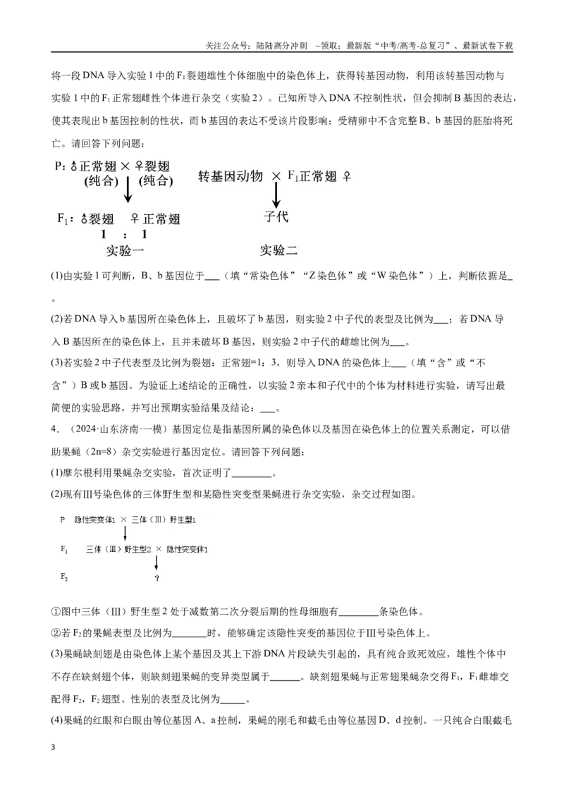 《专题02遗传推理与实验设计（原卷版)_06-生物-高考总复习_专项复习_2024年_2024年高考生物重难压轴题型考前终极押题_资料》第3页预览
