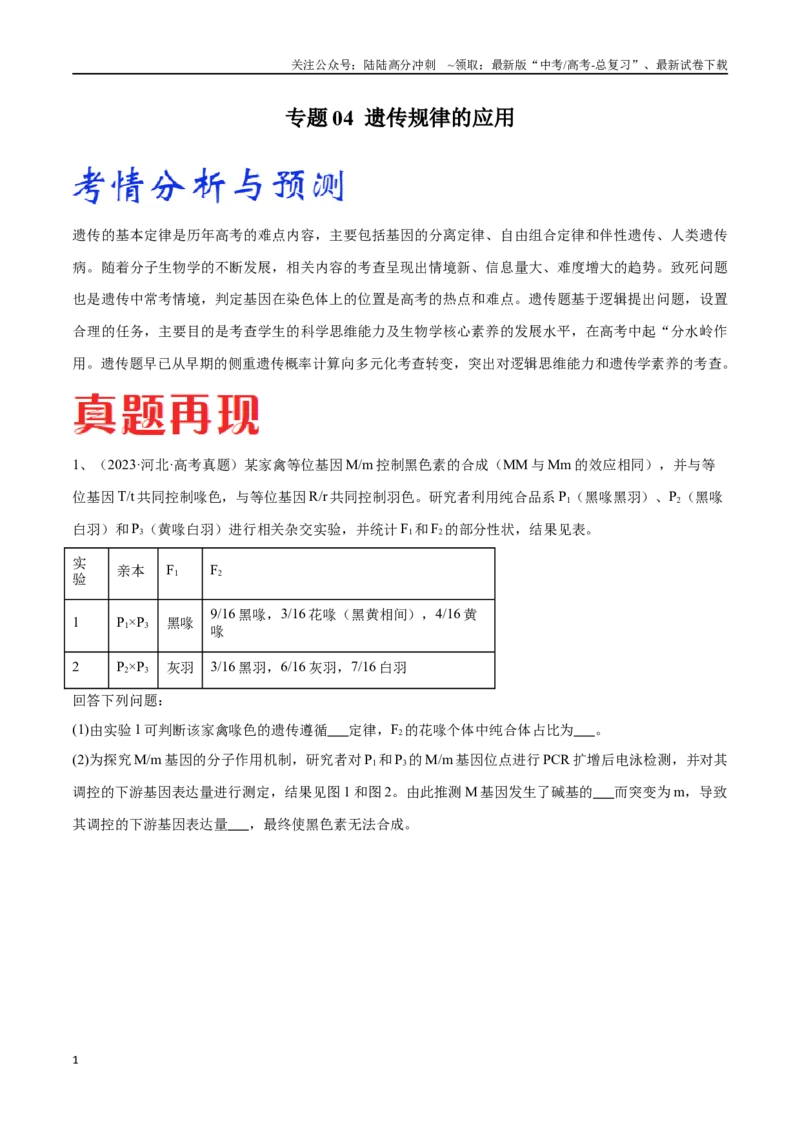《专题04遗传规律的应用（河北卷）（解析版）_06-生物-高考总复习_专项复习_2024年_2024年高考生物考前大题秒杀技巧及专项训练_资料》第1页预览