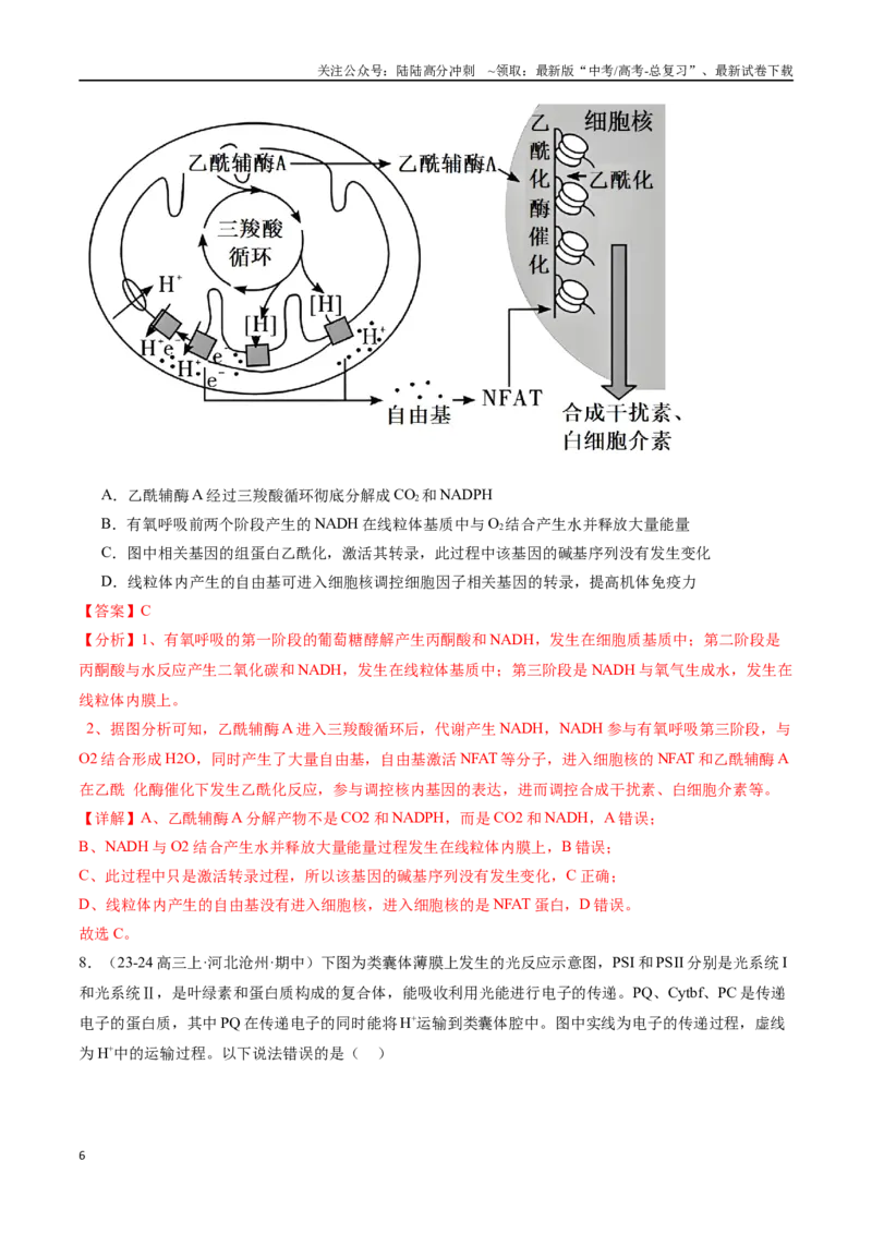 《专题04细胞呼吸和光合作用（解析版）_06-生物-高考总复习_专项复习_2024年_2024年高考生物重难压轴题型考前终极押题_资料》第6页预览