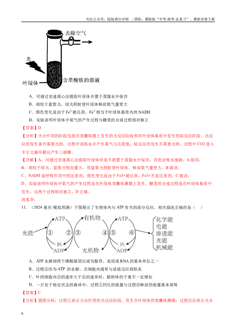 《专题04细胞呼吸和光合作用（解析版）_06-生物-高考总复习_专项复习_2024年_2024年高考生物重难压轴题型考前终极押题_资料》第9页预览
