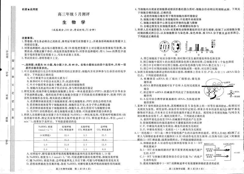 《高三生物试卷（新未来）_2024-2027高三（6-6月题库）_2026年05月高三试卷_260524河南省新未来2026届高三下学期5月测评》第1页预览