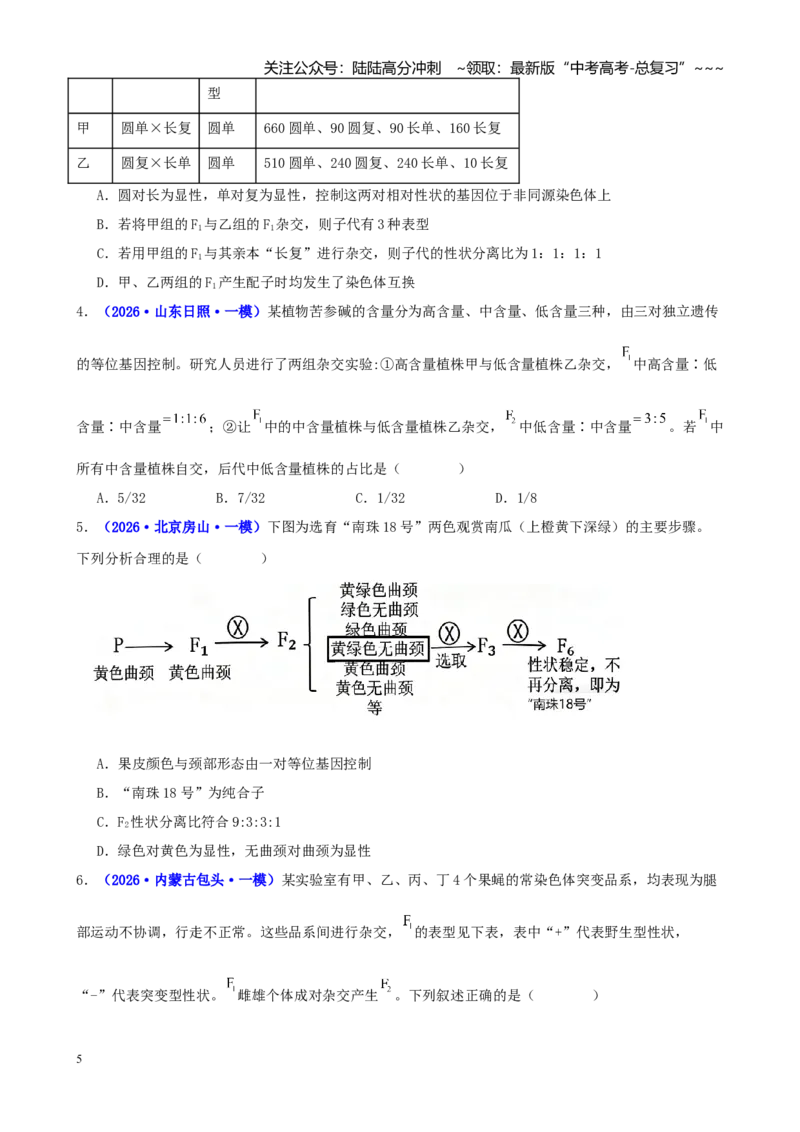 《专题04基因的传递规律（学生版）_06-生物-高考总复习_专项复习_2026年-生物高考专项复习_2026年高考生物一模试题分类汇编（新高考通用）-G178_2026版》第5页预览