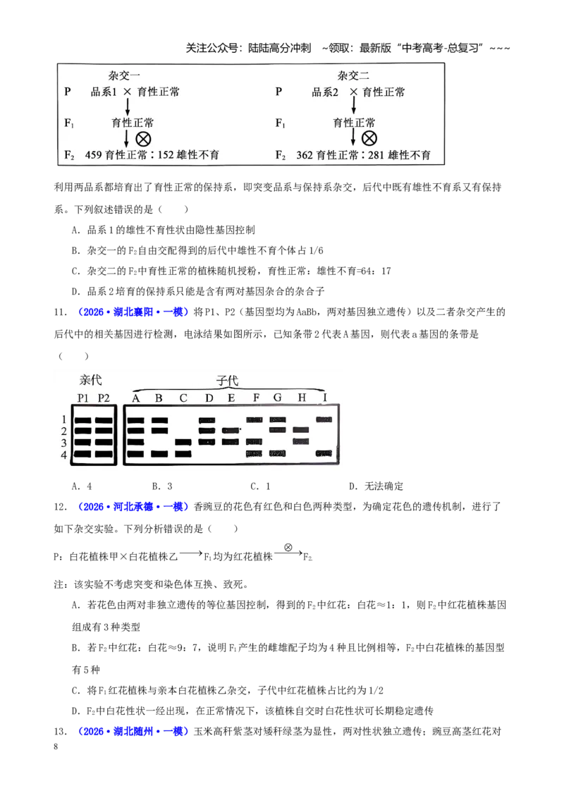 《专题04基因的传递规律（学生版）_06-生物-高考总复习_专项复习_2026年-生物高考专项复习_2026年高考生物一模试题分类汇编（新高考通用）-G178_2026版》第8页预览