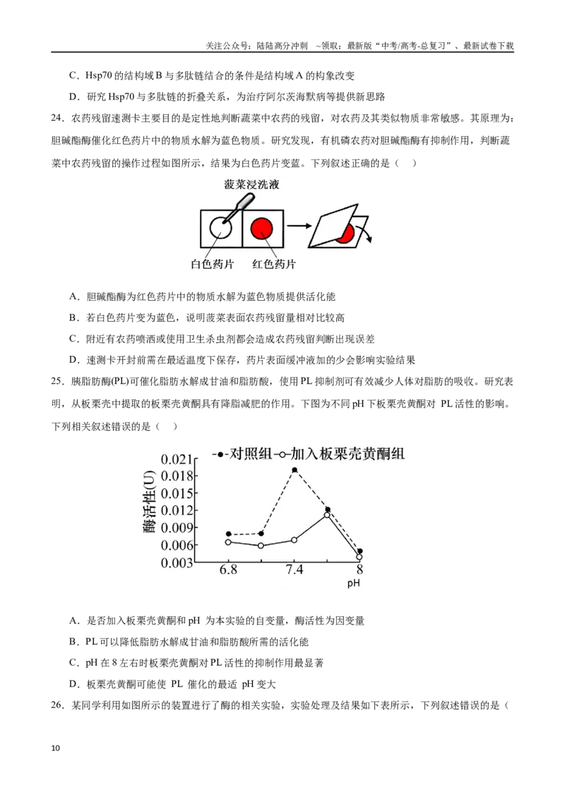 《专题03酶与ATP（选择题60道）（原卷版）_06-生物-高考总复习_二轮复习_2024年_2024年高考生物二轮复习选择题大题压轴专项训练_资料》第10页预览