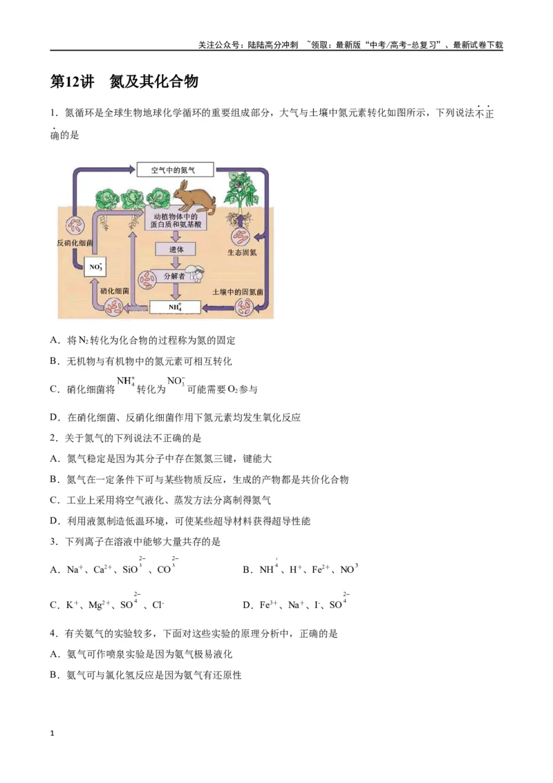 《第12讲氮及其化合物（练）-（原卷版）_05-化学-高考总复习_一轮复习_2024年_2024年高考化学大一轮复习精讲精练+专题讲座_资料》第1页预览