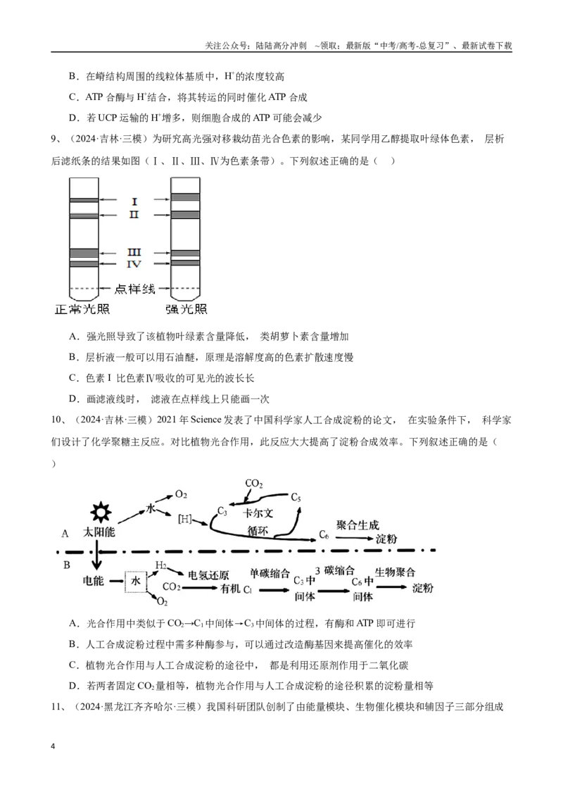 《专题04光合作用与细胞呼吸（原卷版）_06-生物-高考总复习_专项复习_2025年_2024年高考三模试题分类汇编生物2新高考通用》第4页预览
