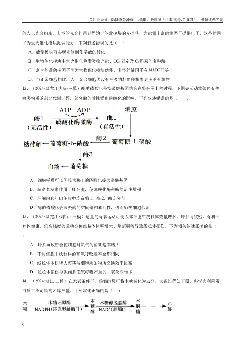 《专题04光合作用与细胞呼吸（原卷版）_06-生物-高考总复习_专项复习_2025年_2024年高考三模试题分类汇编生物2新高考通用》第5页预览