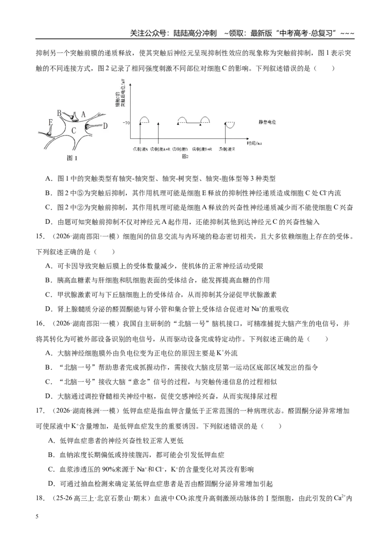 《专题06个体生命活动的调节（3大考点）（学生版）_06-生物-高考总复习_专项复习_2026年-生物高考专项复习_2026年高考生物一模试题分类汇编（湖南专用）-G236_2026版》第5页预览