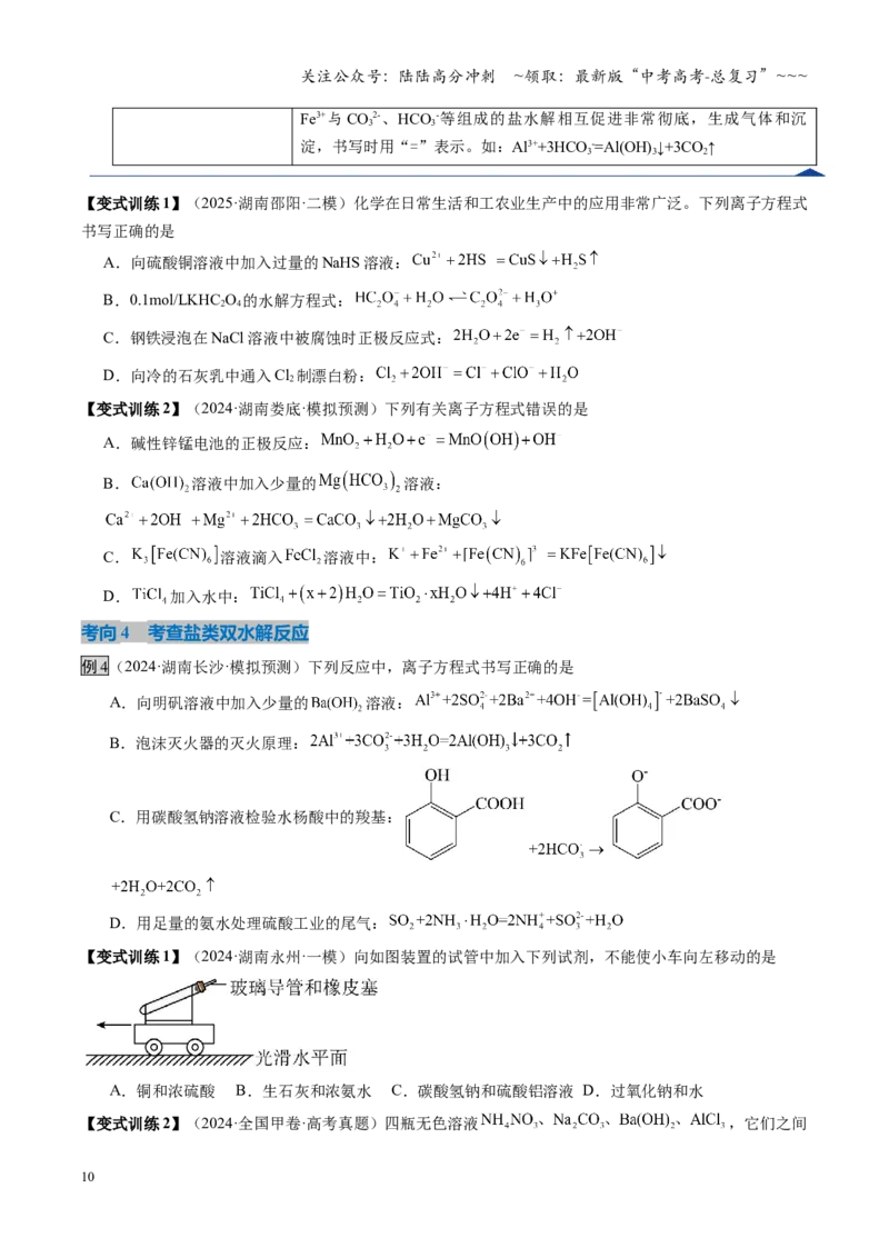 《第03讲盐类的水解（复习讲义）（湖南专用）（学生版）_05-化学-高考总复习_一轮复习_2026年-化学高考一轮复习_2026年高考化学一轮课件+讲义+练习（湖南专用）-G331》第10页预览