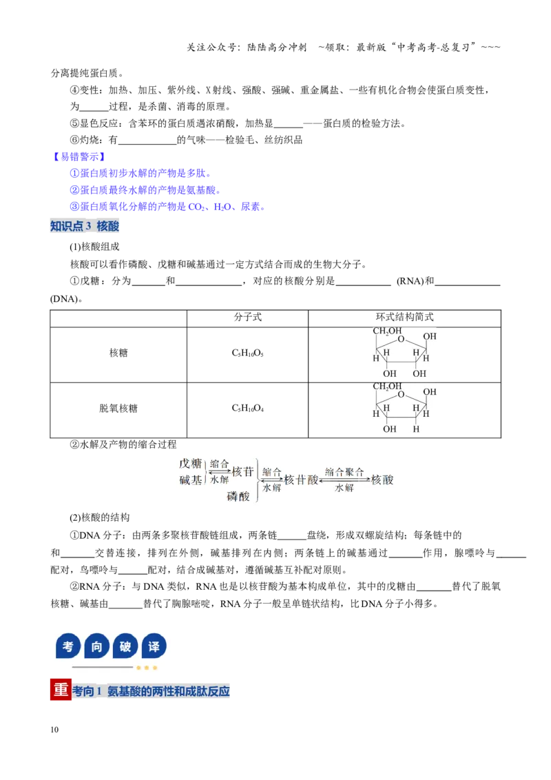 《第04讲生物大分子、合成高分子（复习讲义）（学生版）_05-化学-高考总复习_一轮复习_2026年-化学高考一轮复习_2026年高考化学一轮课件+讲义+练习（四川专用）-G335》第10页预览