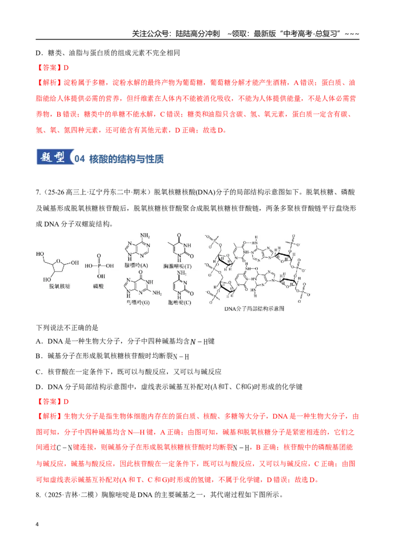 《第04讲生物大分子、合成高分子（专项训练）（黑吉辽蒙专用）（教师版）_05-化学-高考总复习_一轮复习_2026年-化学高考一轮复习_2026年高考化学一轮课件+讲义+练习（黑吉辽蒙专用）-G330》第4页预览