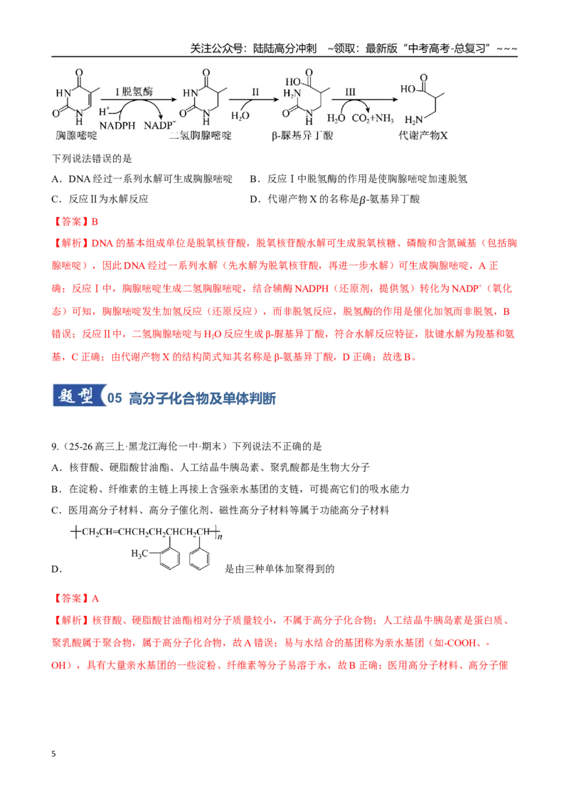 《第04讲生物大分子、合成高分子（专项训练）（黑吉辽蒙专用）（教师版）_05-化学-高考总复习_一轮复习_2026年-化学高考一轮复习_2026年高考化学一轮课件+讲义+练习（黑吉辽蒙专用）-G330》第5页预览