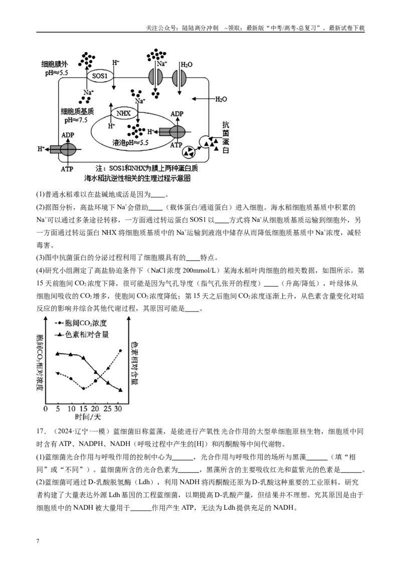 《专题04细胞的代谢（原卷版）_06-生物-高考总复习_专项复习_2025年_2024年高考一模试题分类汇编生物新高考通用》第7页预览