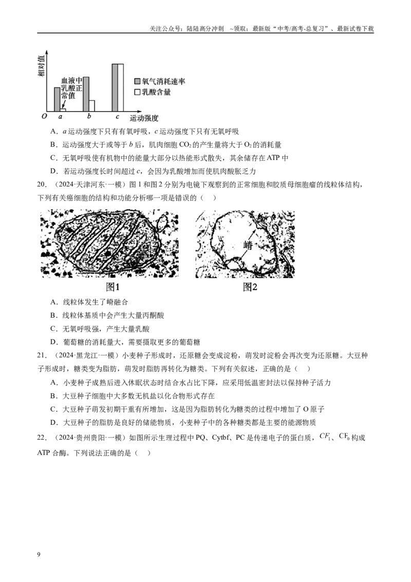 《专题04细胞的代谢（原卷版）_06-生物-高考总复习_专项复习_2025年_2024年高考一模试题分类汇编生物新高考通用》第9页预览