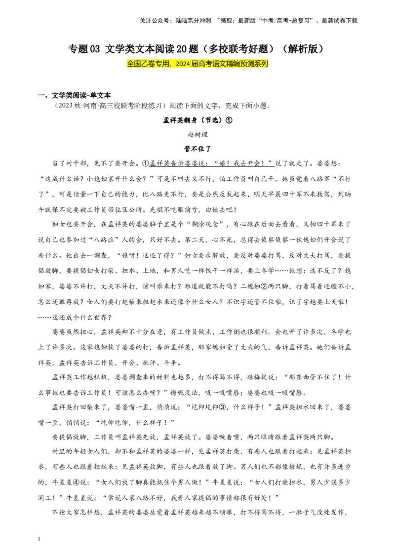 《专题03文学类文本阅读20题（多校联考好题）（全国乙卷）-（解析版）_一轮复习_2025年_2025年新高考语文一轮复习题型专练习题试卷强化训练题_全国乙卷地区》第1页预览