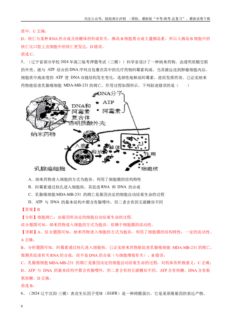 《专题05细胞的生命历程（解析版）_06-生物-高考总复习_专项复习_2025年_2024年高考三模试题分类汇编生物2新高考通用》第4页预览