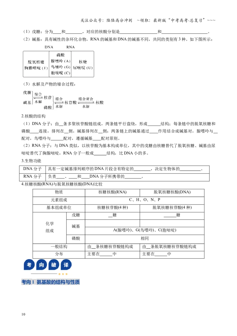 《第04讲生物大分子、合成高分子（复习讲义）（安徽专用）（学生版）_05-化学-高考总复习_一轮复习_2026年-化学高考一轮复习_2026年高考化学一轮课件+讲义+练习（安徽专用）-G326》第10页预览