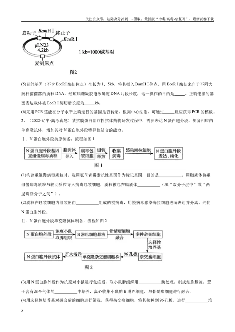 《专题05生物技术与工程模块（东北三省通用）（解析版）_06-生物-高考总复习_专项复习_2024年_2024年高考生物考前大题秒杀技巧及专项训练_资料》第2页预览