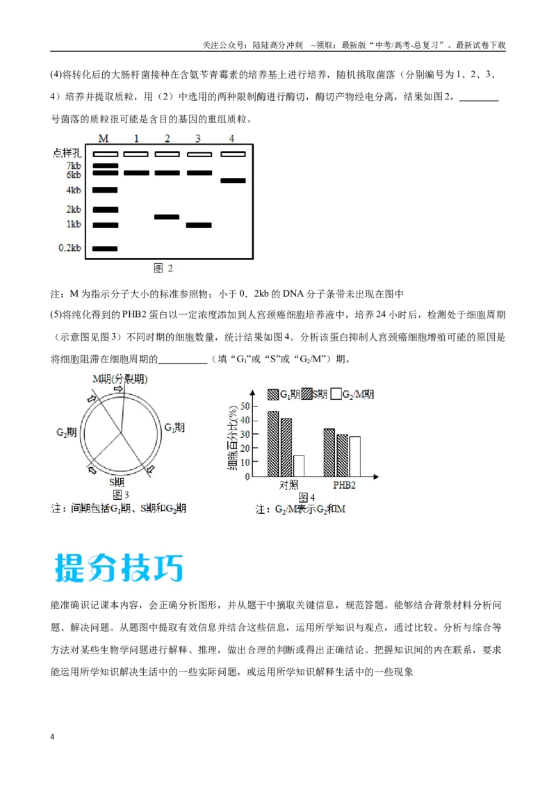 《专题05生物技术与工程模块（东北三省通用）（解析版）_06-生物-高考总复习_专项复习_2024年_2024年高考生物考前大题秒杀技巧及专项训练_资料》第4页预览