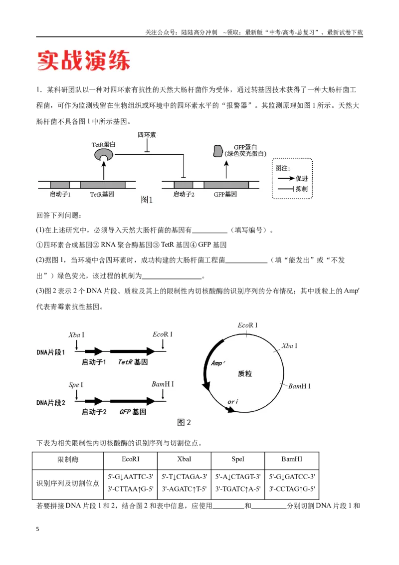 《专题05生物技术与工程模块（东北三省通用）（解析版）_06-生物-高考总复习_专项复习_2024年_2024年高考生物考前大题秒杀技巧及专项训练_资料》第5页预览