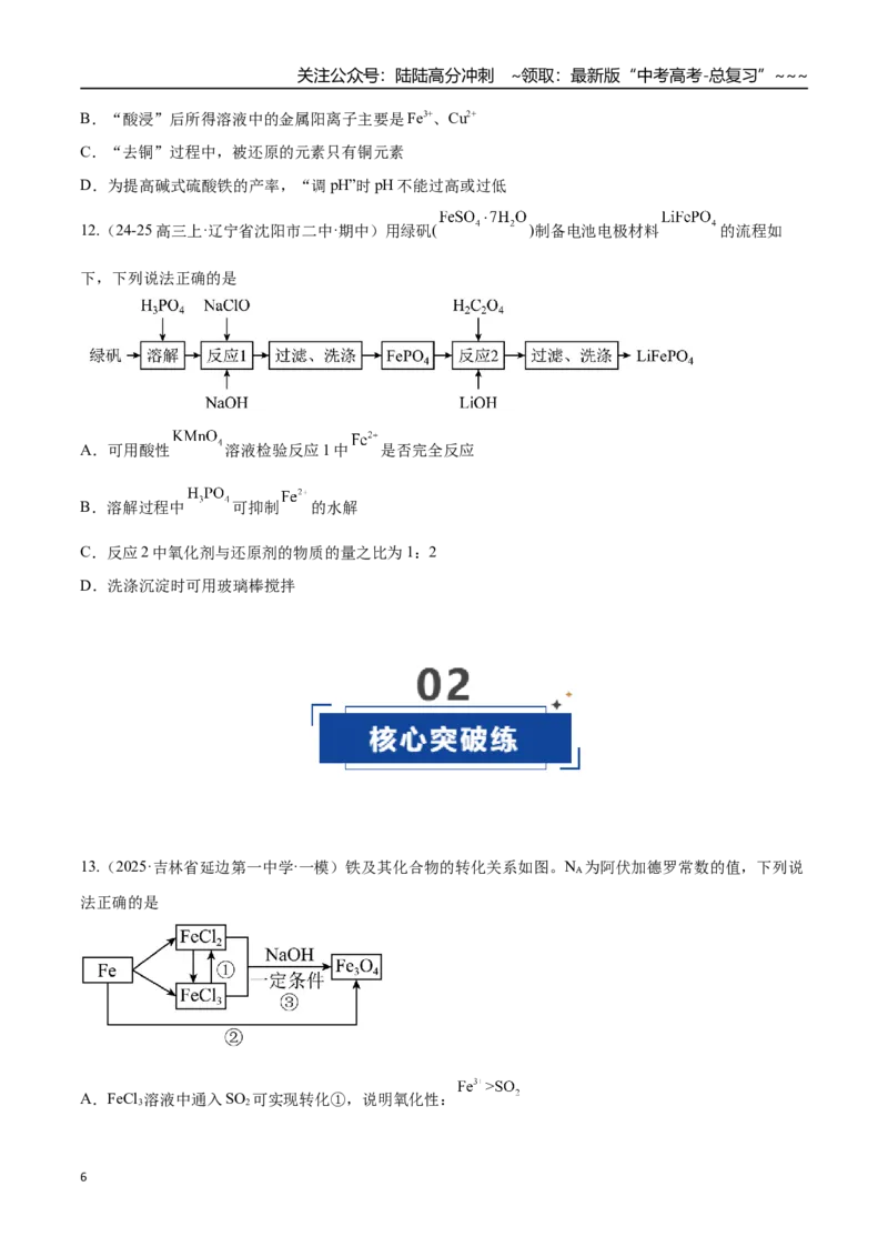 《第02讲铁及其重要化合物（专项训练）（黑吉辽蒙专用）（学生版）_05-化学-高考总复习_一轮复习_2026年-化学高考一轮复习_2026年高考化学一轮课件+讲义+练习（黑吉辽蒙专用）-G330》第6页预览