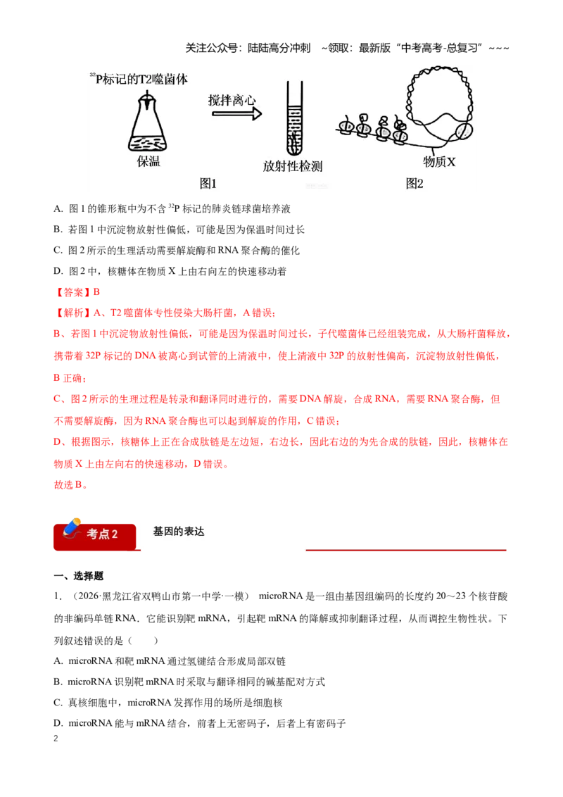 《专题05遗传的分子基础（教师版）_06-生物-高考总复习_专项复习_2026年-生物高考专项复习_2026年高考生物一模试题分类汇编（黑吉辽蒙专用）-G238_2026版》第2页预览