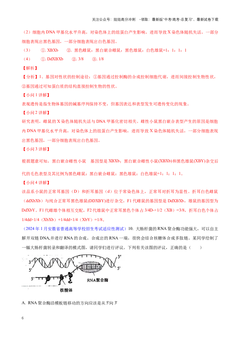 《专题05遗传的分子基础、变异和进化（解析版）_06-生物-高考总复习_专项复习_2024年_2024高考生物1月九省联考猜想卷真题汇编完全解读_2024年1月“九省联考”生物真题分类汇编(9)份》第6页预览