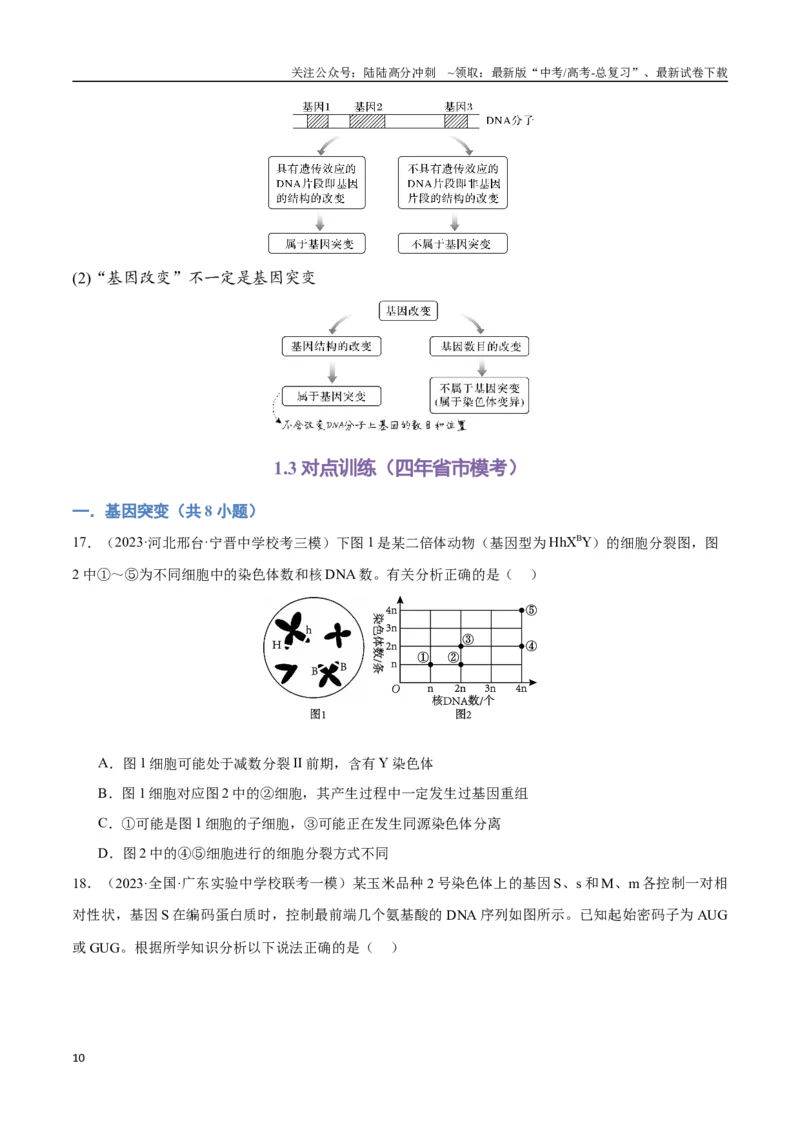 《专题09生物变异与进化（学生版）_06-生物-高考总复习_专项复习_2024年_2024年高考生物总复习核心题型解读与全攻略新教材_资料》第10页预览