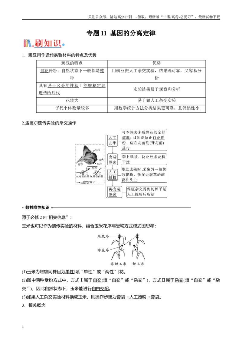 《专题11基因的分离定律（解析版）_06-生物-高考总复习_专项复习_2024年_2024年高考生物经典小题必刷_资料》第1页预览