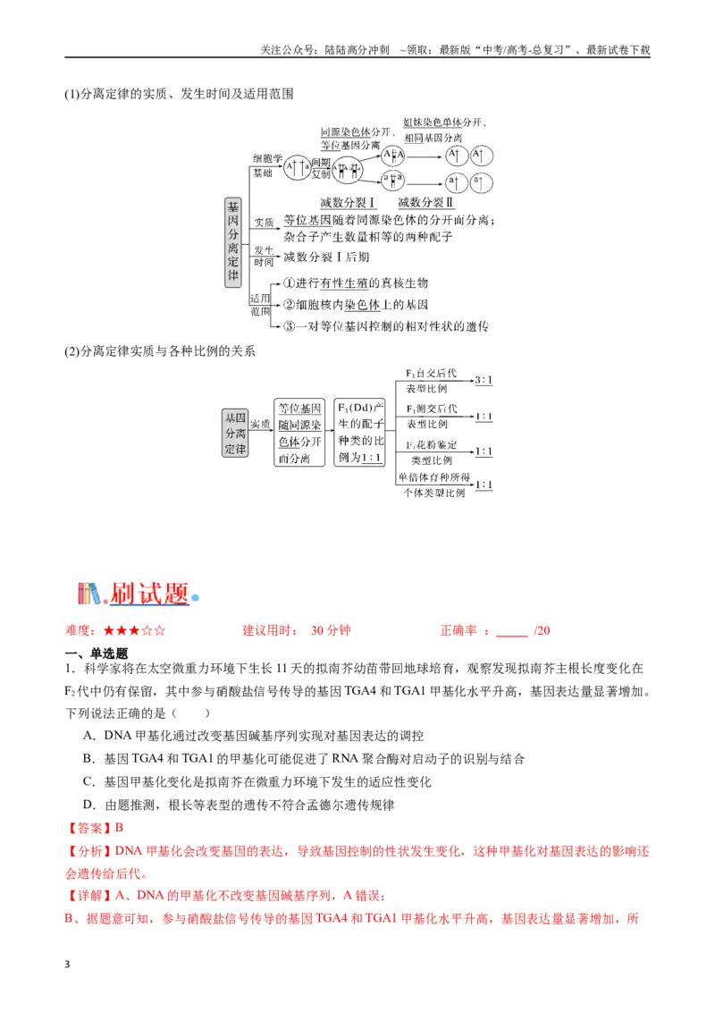 《专题11基因的分离定律（解析版）_06-生物-高考总复习_专项复习_2024年_2024年高考生物经典小题必刷_资料》第3页预览