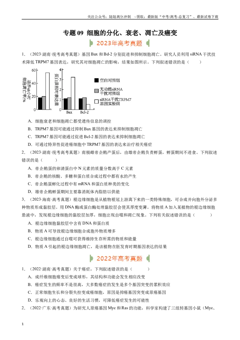 《专题09细胞的分化、衰老、凋亡及癌变（原卷版）_06-生物-高考总复习_专项复习_2024年_2024年新高考生物复习热点考点真题模拟题必刷题练_资料》第1页预览