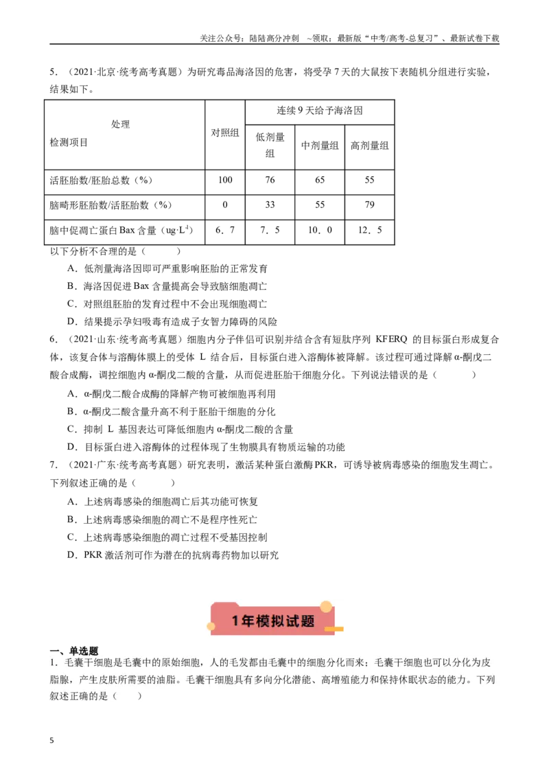 《专题09细胞的分化、衰老、凋亡及癌变（原卷版）_06-生物-高考总复习_专项复习_2024年_2024年新高考生物复习热点考点真题模拟题必刷题练_资料》第5页预览