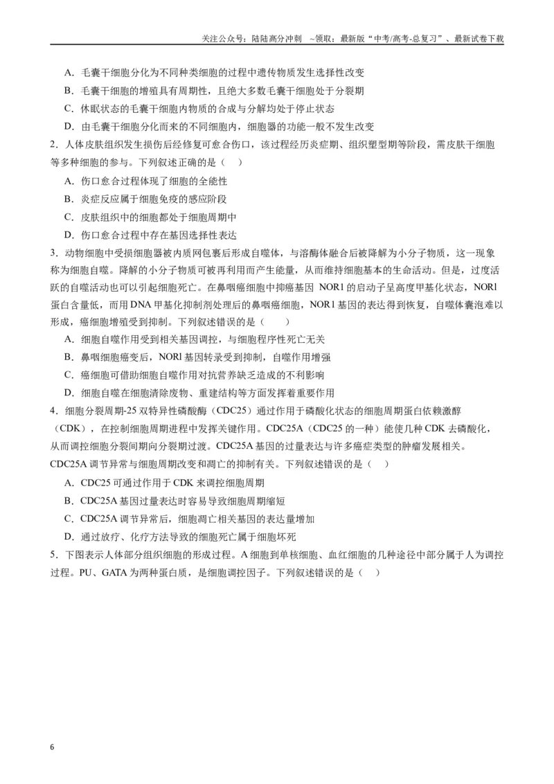 《专题09细胞的分化、衰老、凋亡及癌变（原卷版）_06-生物-高考总复习_专项复习_2024年_2024年新高考生物复习热点考点真题模拟题必刷题练_资料》第6页预览