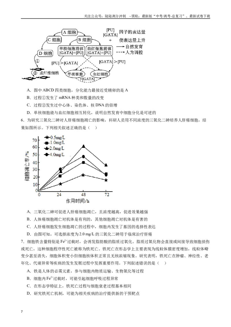 《专题09细胞的分化、衰老、凋亡及癌变（原卷版）_06-生物-高考总复习_专项复习_2024年_2024年新高考生物复习热点考点真题模拟题必刷题练_资料》第7页预览