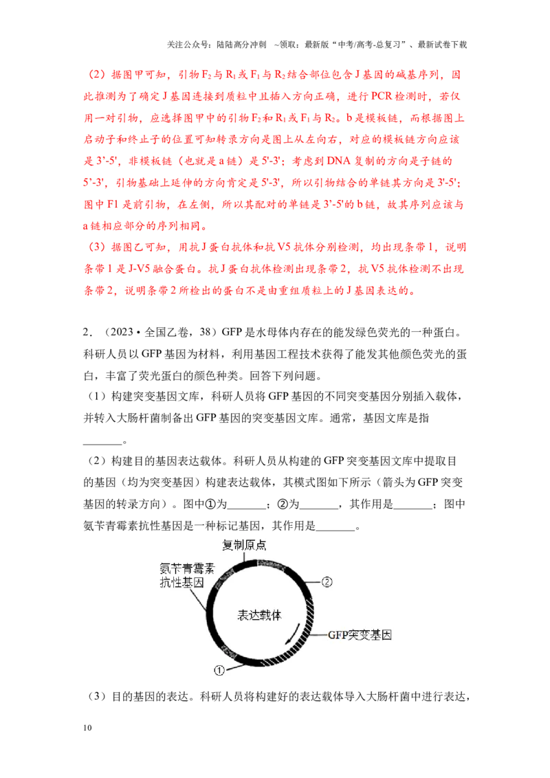 《专题07现代生物技术（解析版）_06-生物-高考总复习_专项复习_2024年_2024年高考生物真题分析高频考点归纳训练典例真题_资料》第10页预览