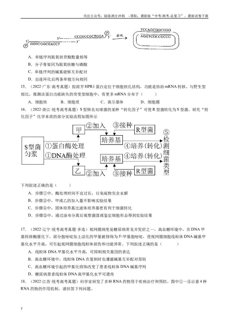 《专题10遗传的分子基础（原卷版）_06-生物-高考总复习_专项复习_2024年_2024年新高考生物复习热点考点真题模拟题必刷题练_资料》第7页预览