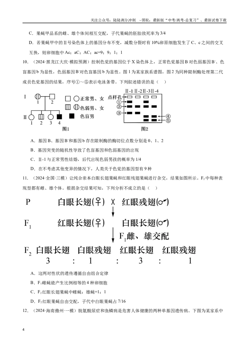 《专题06遗传的基本规律与伴性遗传（原卷版）_06-生物-高考总复习_专项复习_2024年_2024年高考生物重难压轴题型考前终极押题_资料》第4页预览