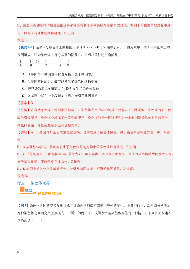 《专题11生物的变异和进化（7大题型）（教师版）_06-生物-高考总复习_一轮复习_2025年_2025年高考生物一轮复习题型全覆盖练习（新高考通用）》第5页预览