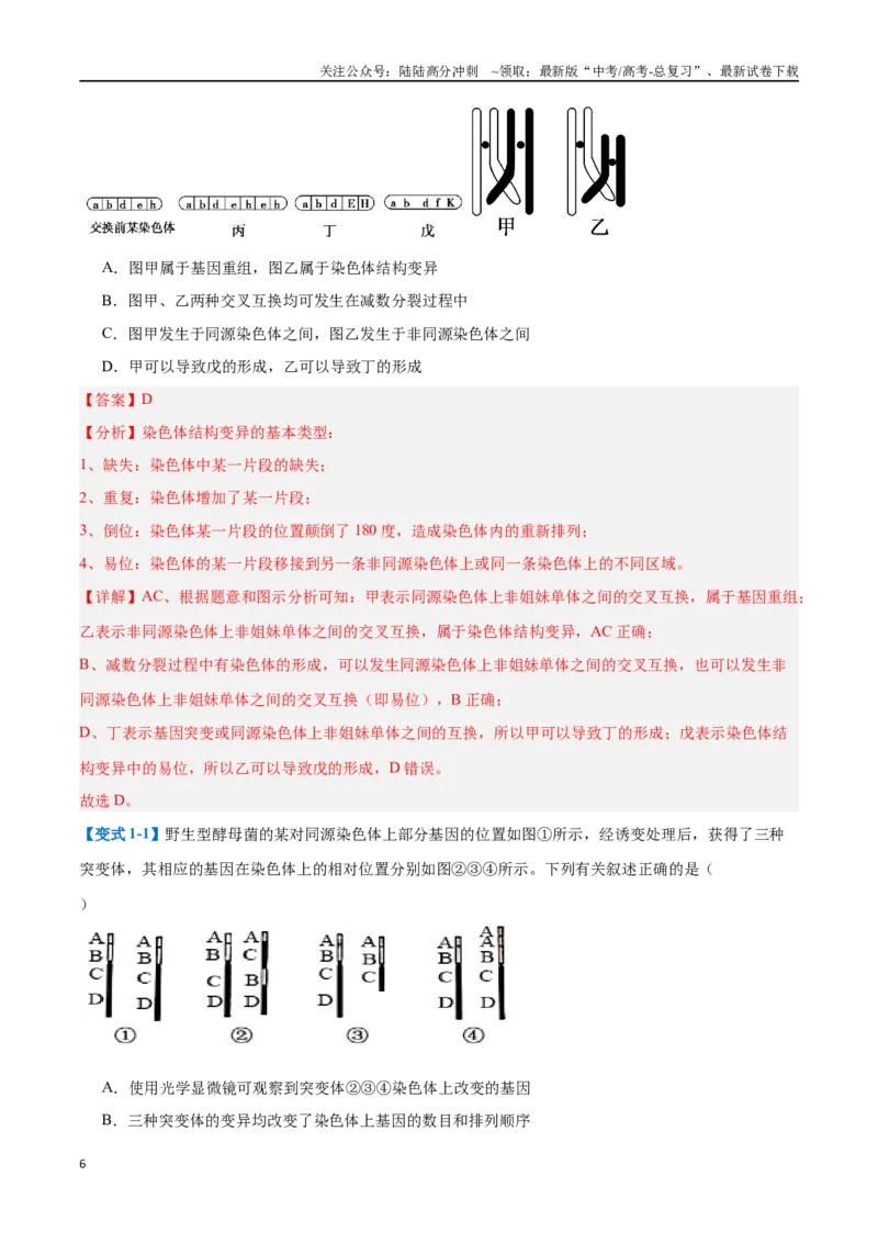 《专题11生物的变异和进化（7大题型）（教师版）_06-生物-高考总复习_一轮复习_2025年_2025年高考生物一轮复习题型全覆盖练习（新高考通用）》第6页预览