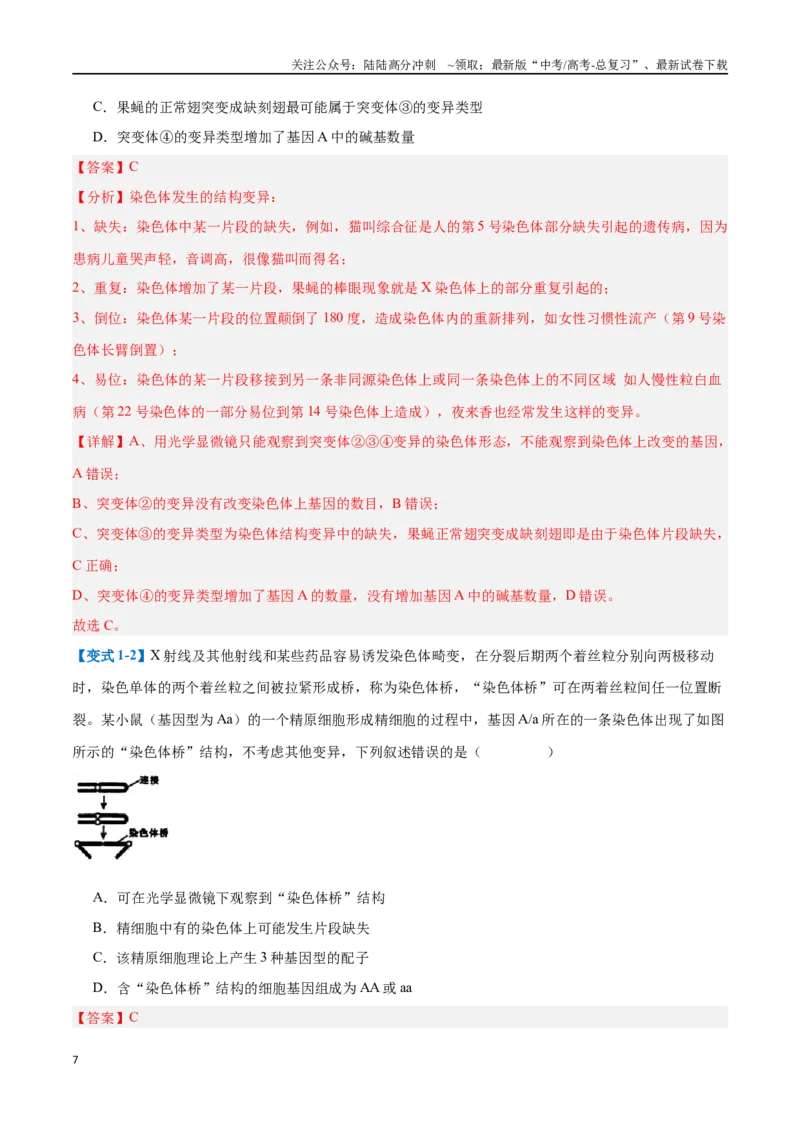 《专题11生物的变异和进化（7大题型）（教师版）_06-生物-高考总复习_一轮复习_2025年_2025年高考生物一轮复习题型全覆盖练习（新高考通用）》第7页预览