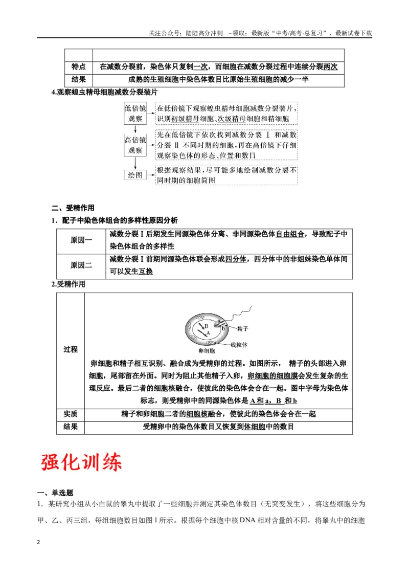 《专题13减数分裂和受精作用（原卷版)_06-生物-高考总复习_一轮复习_2024年_2024年高考生物一轮复习重难点专项突破_资料》第2页预览