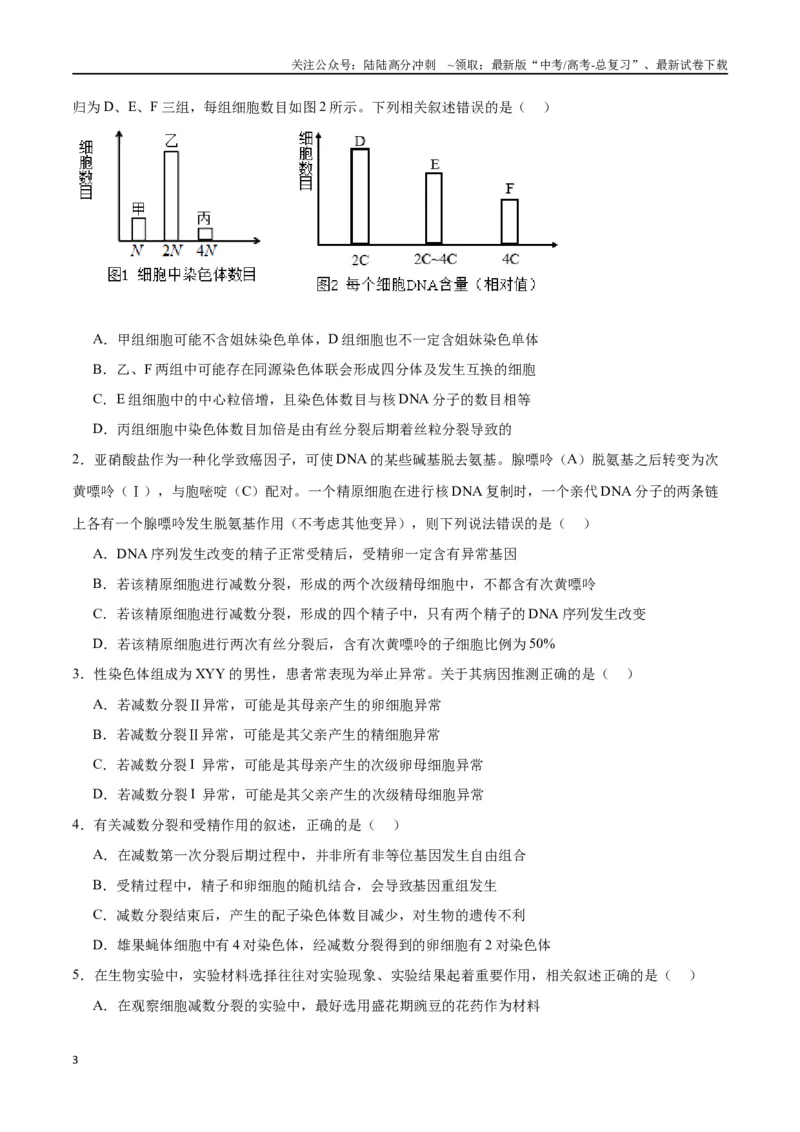 《专题13减数分裂和受精作用（原卷版)_06-生物-高考总复习_一轮复习_2024年_2024年高考生物一轮复习重难点专项突破_资料》第3页预览