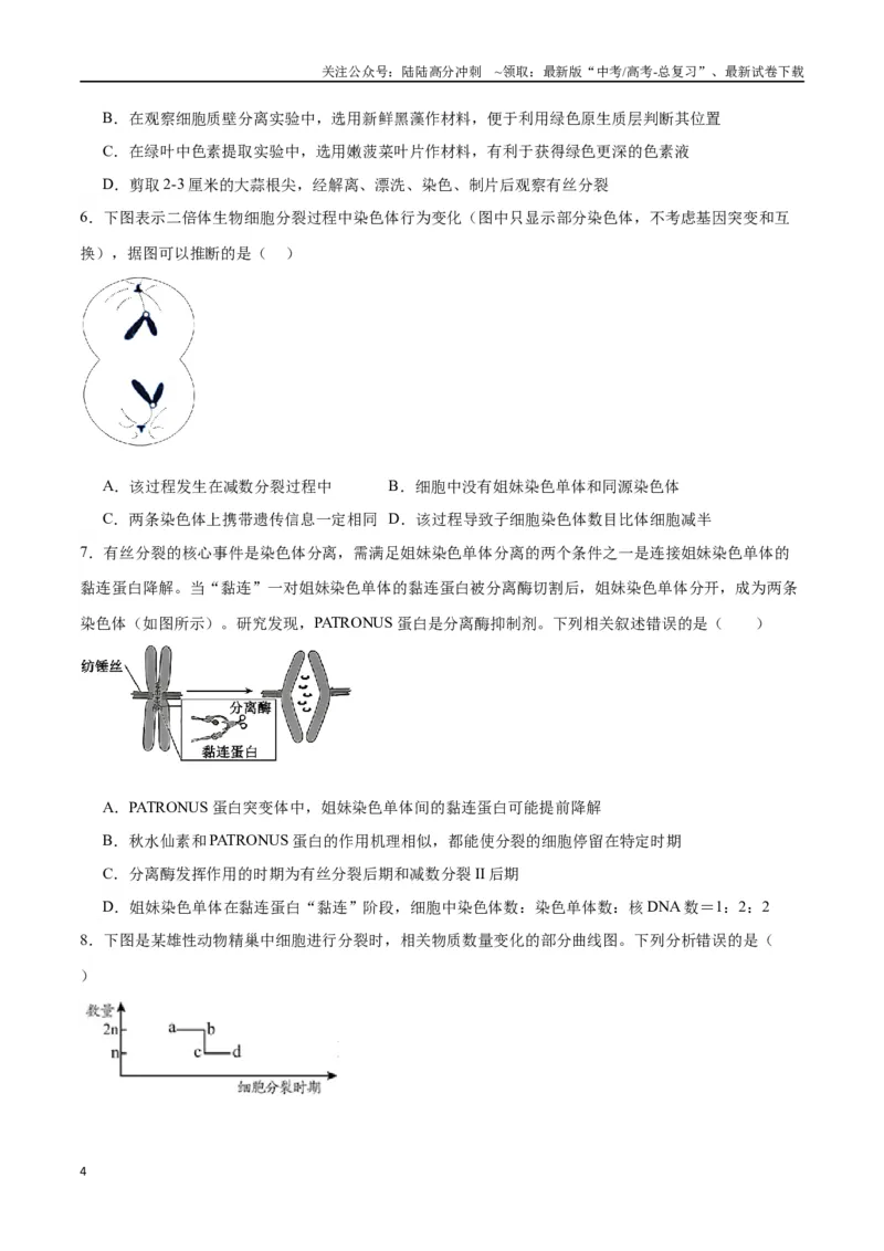 《专题13减数分裂和受精作用（原卷版)_06-生物-高考总复习_一轮复习_2024年_2024年高考生物一轮复习重难点专项突破_资料》第4页预览