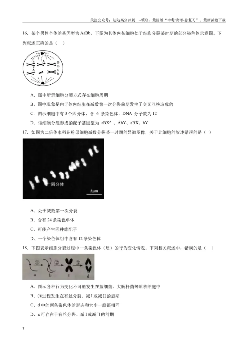 《专题13减数分裂和受精作用（原卷版)_06-生物-高考总复习_一轮复习_2024年_2024年高考生物一轮复习重难点专项突破_资料》第7页预览