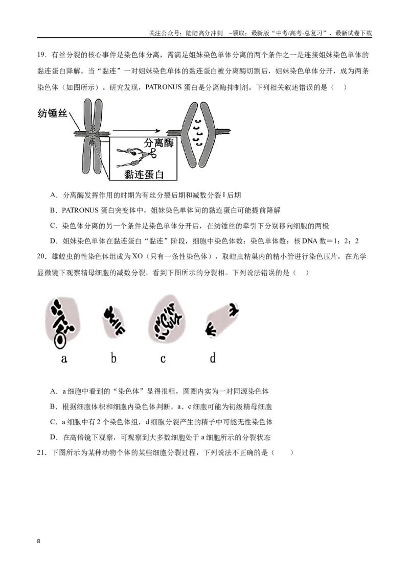 《专题13减数分裂和受精作用（原卷版)_06-生物-高考总复习_一轮复习_2024年_2024年高考生物一轮复习重难点专项突破_资料》第8页预览