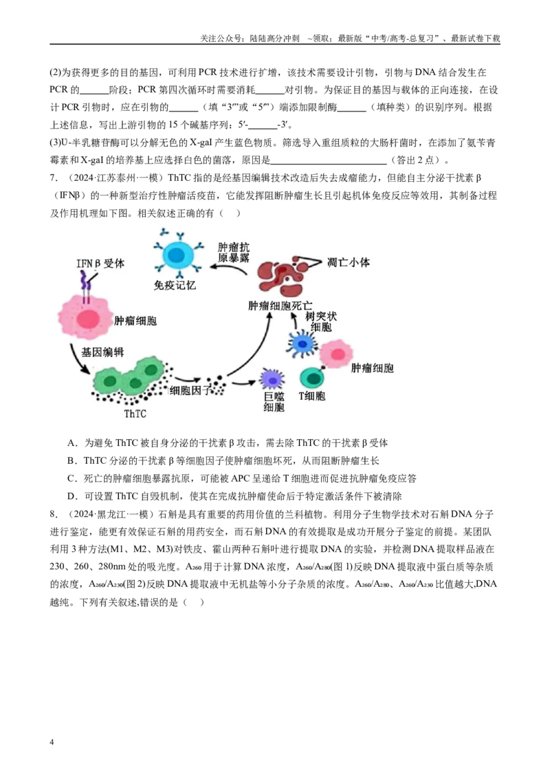 《专题13基因工程（原卷版）_06-生物-高考总复习_专项复习_2025年_2024年高考一模试题分类汇编生物新高考通用》第4页预览