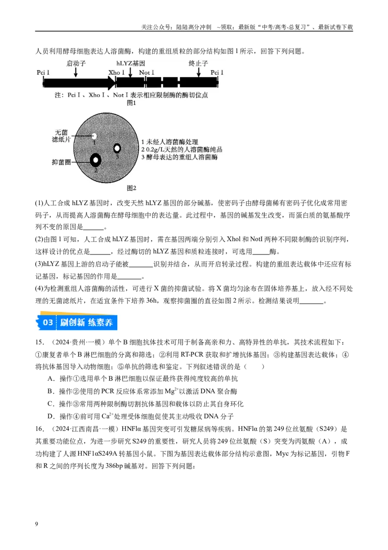 《专题13基因工程（原卷版）_06-生物-高考总复习_专项复习_2025年_2024年高考一模试题分类汇编生物新高考通用》第9页预览